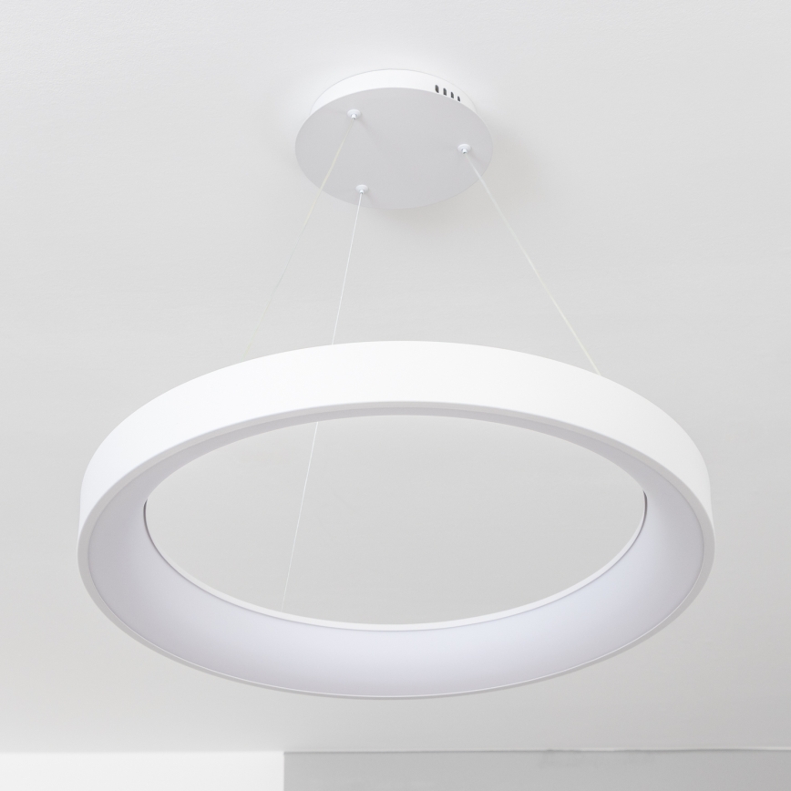 BRILAGI - LED-dimmbare Pendelleuchte an Seil FALCON II LED/99W/230V 3000-6500K pr. 60 cm weiß + Fernbedienung