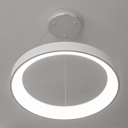 BRILAGI - LED-dimmbare Pendelleuchte an Seil FALCON II LED/99W/230V 3000-6500K pr. 60 cm weiß + Fernbedienung