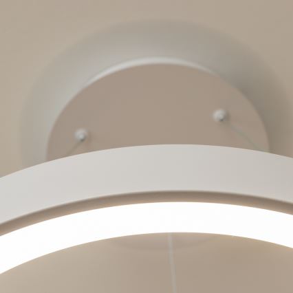 BRILAGI - LED-dimmbare Pendelleuchte an Seil FALCON II LED/99W/230V 3000-6500K pr. 60 cm weiß + Fernbedienung