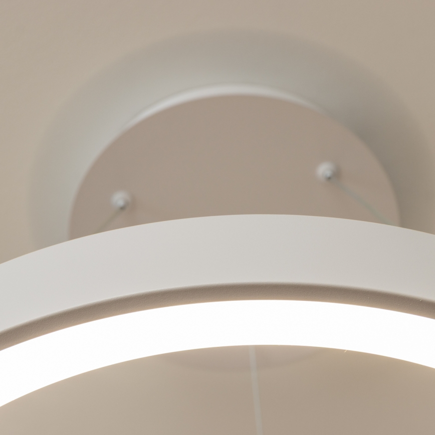 BRILAGI - LED-dimmbare Pendelleuchte an Seil FALCON II LED/99W/230V 3000-6500K pr. 60 cm weiß + Fernbedienung