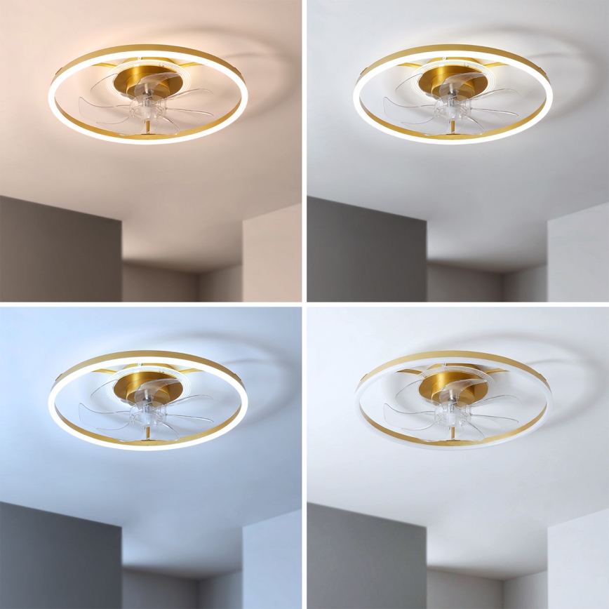 Brilagi - Dimmbarer LED-Deckenventilator LED/66W/230V 55 cm weiß/gold + Fernbedienung