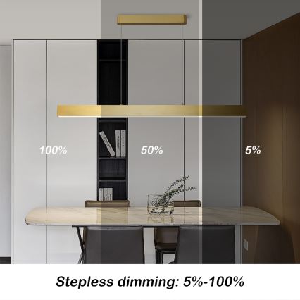 Brilagi - LED dimmbare Hängeleuchte an Kabel SLEEKLINE SMART LED/40W/230V 3000-6000K Wi-Fi Tuya goldfarben + Fernbedienung