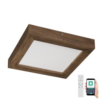 Brilagi - LED dimmbares Badezimmer-Deckenleuchte WOODY FRAME LED/24W/230V Eiche Nussbaum 30x30 cm 3000-6000K IP44 + Fernbedienung