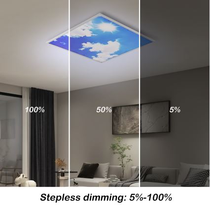 Brilagi - SLIMFRAME SKY dimmbare LED-Deckenleuchte LED/58W/230V 60x60 cm 3000-6000K silber/blau + Fernbedienung