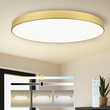 Brilagi - LED-Dimmleuchte POOL SMART LED/180W/230V 120 cm gold Wi-Fi Tuya+Fernbedienung