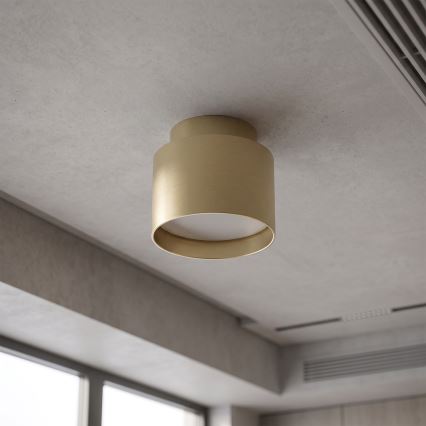 BRILAGI - LED-Einbaustrahler BACKLIT 1xGX53/15W/230V + LED/3W Ø 8 cm goldfarben
