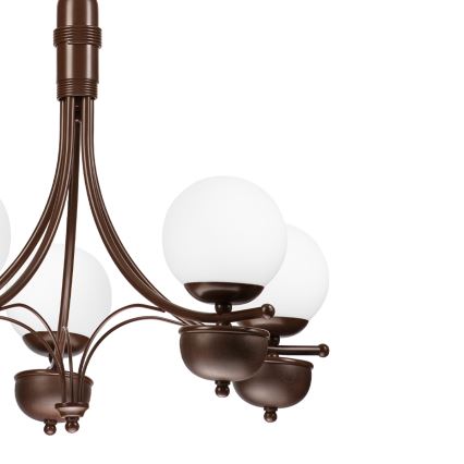 Brilagi - LED Hängeleuchte an Kette COTTAGE 5xG9/40W/230V Eiche/weiß