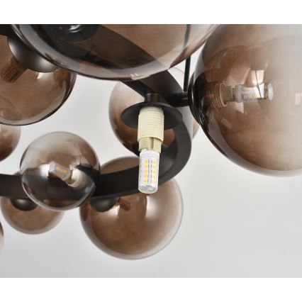 Brilagi - LED-Hängeleuchte an Seil MILLA 15xG9/3W/230V braun/rauchbraun