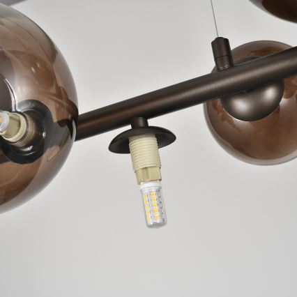 Brilagi - LED-Hängeleuchte MILLA an Kabel 10xG9/3W/230V braun/rauchbraun