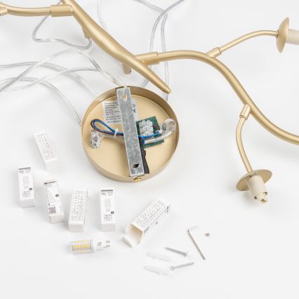 Brilagi - LED-Hängeleuchte MISTEL 6xG9/3W/230V golden/weiß