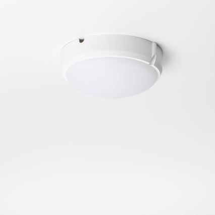Brilagi - LED Industrie-Deckenleuchte SIMA LED/12W/230V IP65 weiß