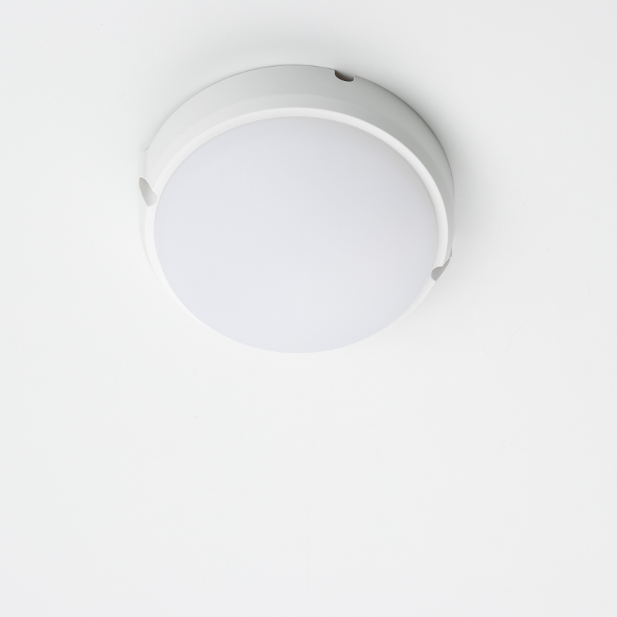 Brilagi - LED Industrie-Deckenleuchte SIMA LED/12W/230V IP65 weiß