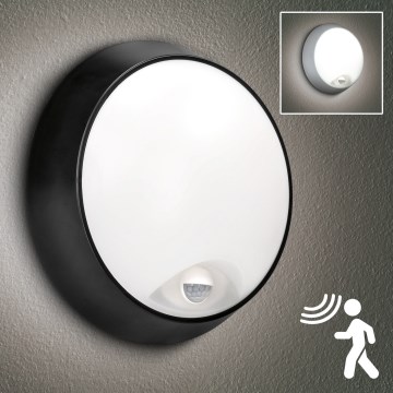 Brilagi - LED Outdoor-Wandleuchte mit Sensor 2-in-1 BULKHEAD LED/20W/230V IP65