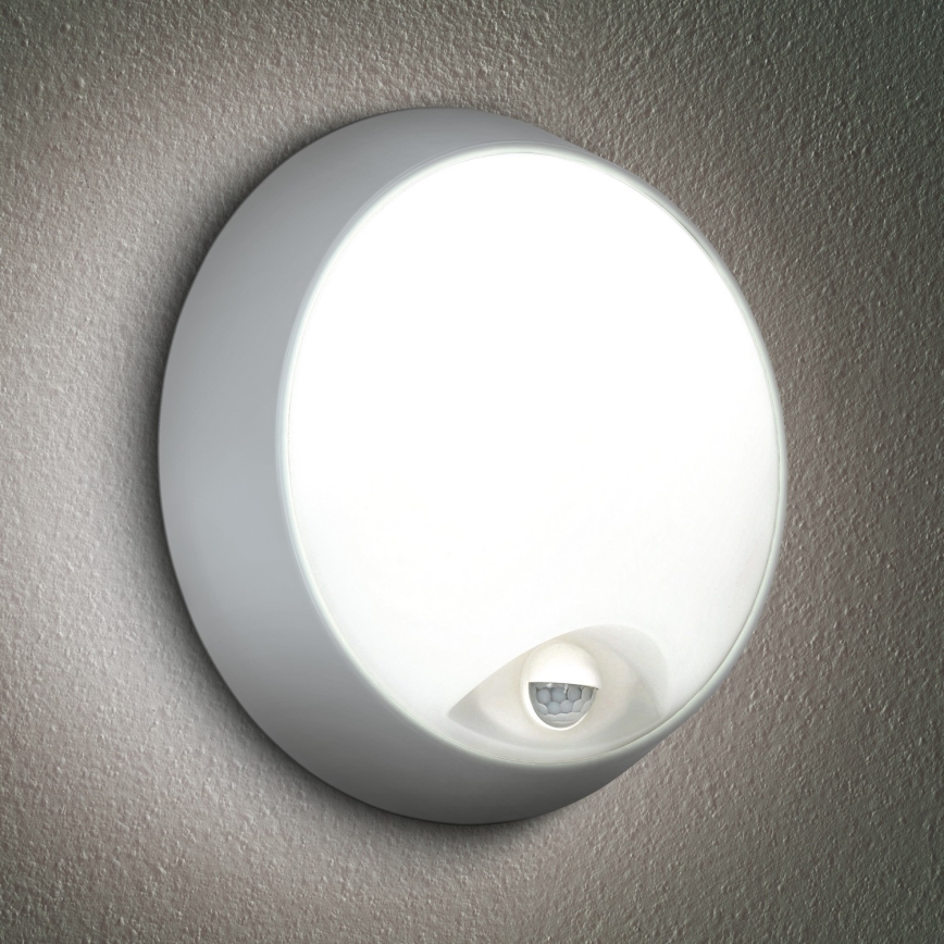 Brilagi - LED Outdoor-Wandleuchte mit Sensor 2-in-1 BULKHEAD LED/20W/230V IP65