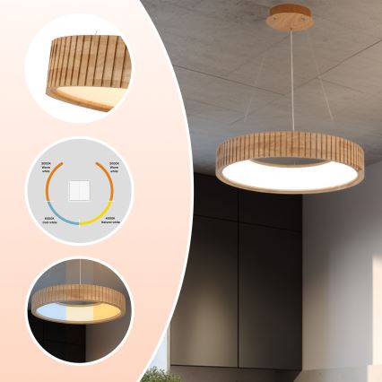 Brilagi - LED-Hängeleuchte an Kabel FALCON WOOD MODERN LED/30W/230V 3000/4000/6000K Ø 45 cm aus Holz