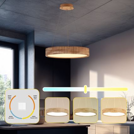 Brilagi - LED-Hängeleuchte an Kabel FALCON WOOD MODERN LED/30W/230V 3000/4000/6000K Ø 45 cm aus Holz