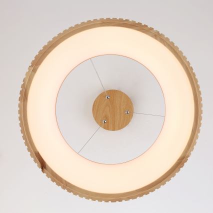 Brilagi - LED-Hängeleuchte an Kabel FALCON WOOD MODERN LED/30W/230V 3000/4000/6000K Ø 45 cm aus Holz