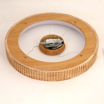 Brilagi - LED-Pendelleuchte mit Seilaufhängung FALCON WOOD MODERN LED/40W/230V 3000/4000/6000K Ø 60 cm Holz