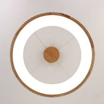 Brilagi - LED-Pendelleuchte mit Seilaufhängung FALCON WOOD MODERN LED/40W/230V 3000/4000/6000K Ø 60 cm Holz