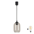 BRILAGI - LED-Pendelleuchte an Kabel RETRO GLASS 1xE27/60W/230V Ø 14 cm schwarz/rauchgrau