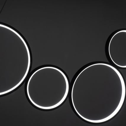 BRILAGI - LED-Pendelleuchte an Seil ECHO LED/60W/230V 4000K 100 cm schwarz