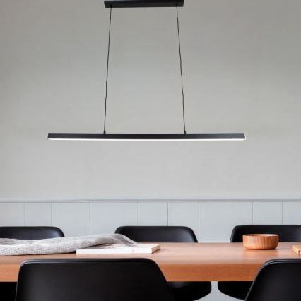 Brilagi - LED-Pendelleuchte AXIS mit Seilaufhängung, LED/30W/230V, 120 cm, schwarz