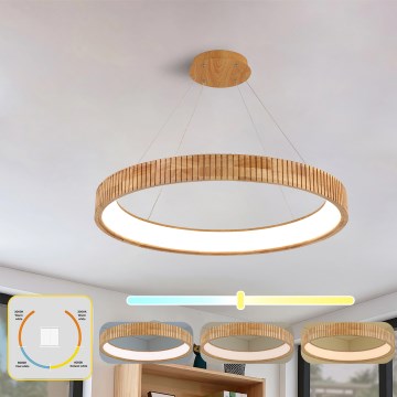Brilagi - LED-Pendelleuchte mit Seil FALCON WOOD MODERN LED/60W/230V 3000/4000/6000K Ø 80 cm Holz