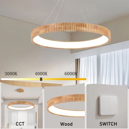 Brilagi - LED-Pendelleuchte mit Seil FALCON WOOD MODERN LED/60W/230V 3000/4000/6000K Ø 80 cm Holz