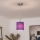 Brilagi - LED-Pendelleuchte NUBILA an Kabel 1xE27/60W/230V Ø 14 cm, violett