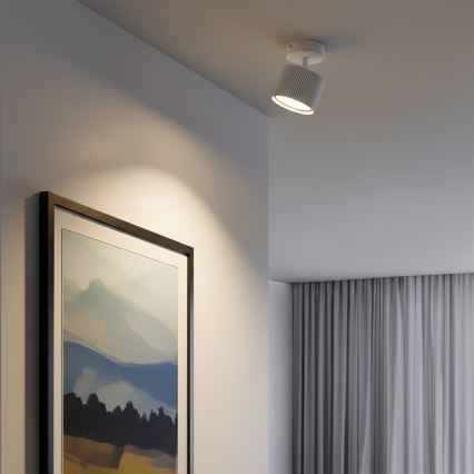 BRILAGI - LED RGB+CCT dimmbarer Einbaustrahler STRIPY 1xGX53/14W/230V pr. 82 mm 2700-6500K Wi-Fi Tuya weiß