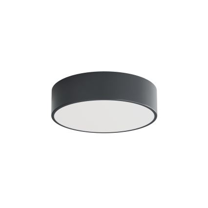 BRILAGI - LED RGBW dimmbare Badezimmer-Deckenleuchte CLARE 2xE27/12W/230V Ø 30 cm Anthrazit IP54