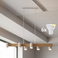BRILAGI - LED RGBW dimmbare Pendelleuchte an Kabel SELE 6xGU10/6,5W/230V 2700-6500K weiß/Eichendekor + Fernbedienung