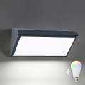 Brilagi - LED RGBW dimmbares Außen-Wandleuchte TRIANGLE 1xE27/9W/230V 2700-6500K IP65 Anthrazit
