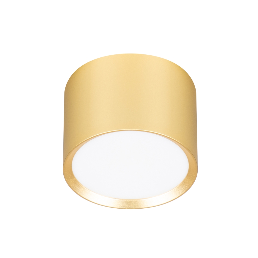 BRILAGI - LED Spotleuchte SMOOTH 1xGX53/15W/230V 60x82 mm gold