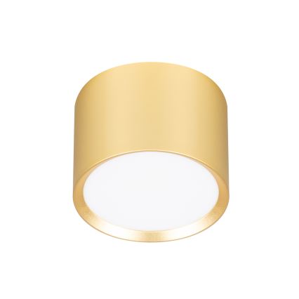 Brilagi - LED Spotleuchte SMOOTH 1xGX53/15W/230V gold
