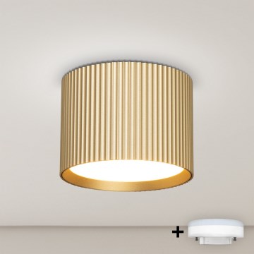 BRILAGI - LED Spotleuchte STRIPY 1xGX53/15W/230V 60x82 mm goldfarben