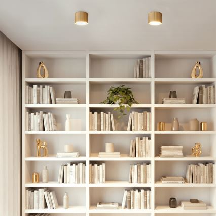 Brilagi - LED Spotleuchte STRIPY 1xGX53/15W/230V goldfarben