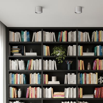 Brilagi - LED Spotleuchte STRIPY 1xGX53/15W/230V silber