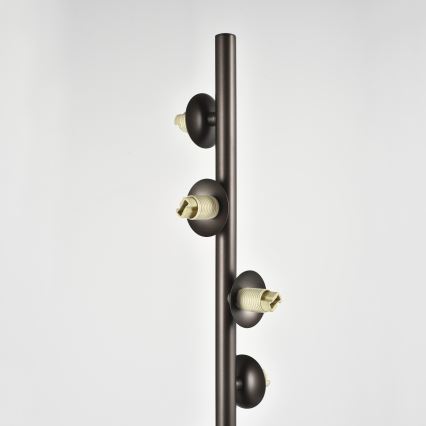 Brilagi - LED-Stehlampe MILLA 7xG9/3W/230V braun/rauchbraun
