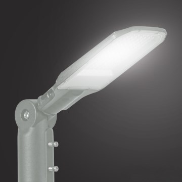 Brilagi - LED-Straßenleuchte URBANLIGHT LED/50W/230V grau IP65