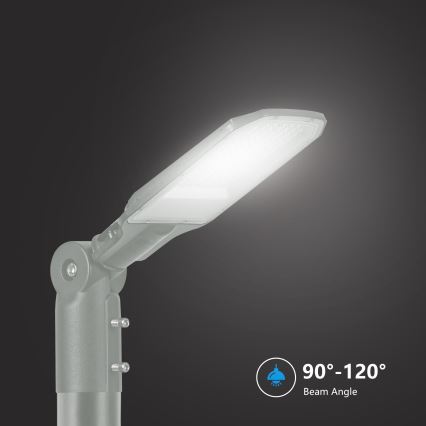 Brilagi - LED-Straßenleuchte URBANLIGHT LED/50W/230V grau IP65