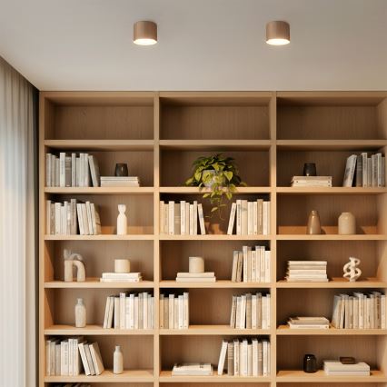BRILAGI - LED STRIPY Spotleuchte 1xGX53/15W/230V 60x82 mm beige