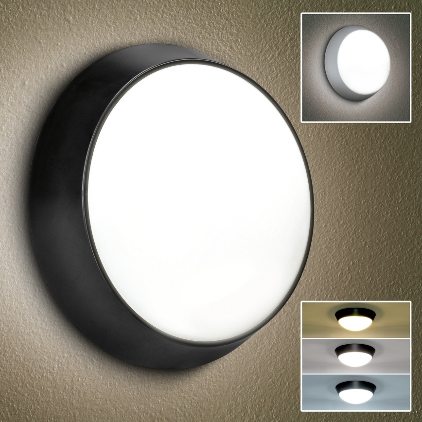 Brilagi - LED-Wandleuchte für den Außenbereich 2-in-1 BULKHEAD LED/20W/230V 3000/4000/6000K IP65
