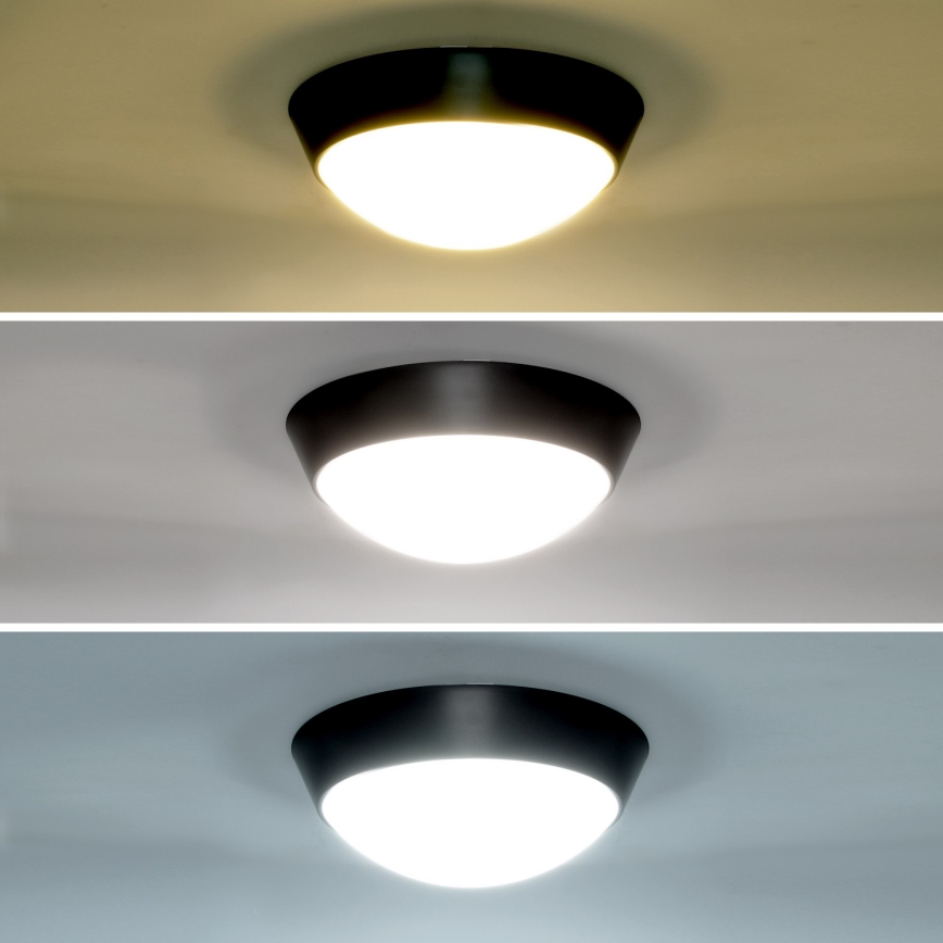 Brilagi - LED-Wandleuchte für den Außenbereich 2-in-1 BULKHEAD LED/20W/230V 3000/4000/6000K IP65