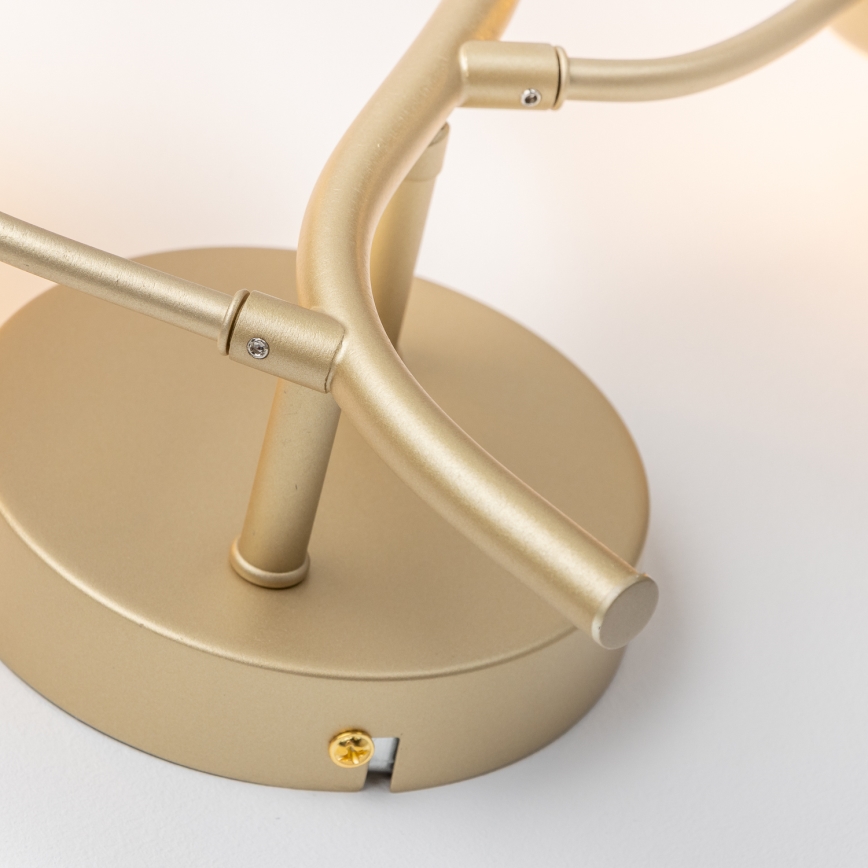 Brilagi - LED-Wandleuchte MISTEL 3xG9/3W/230V golden