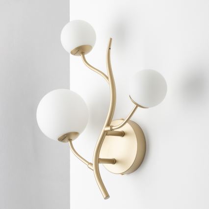 Brilagi - LED-Wandleuchte MISTEL 3xG9/3W/230V golden/weiß