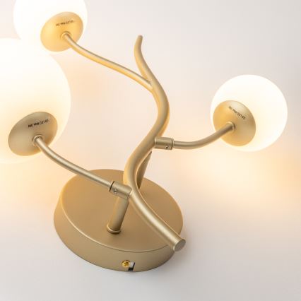 Brilagi - LED-Wandleuchte MISTEL 3xG9/3W/230V golden/weiß