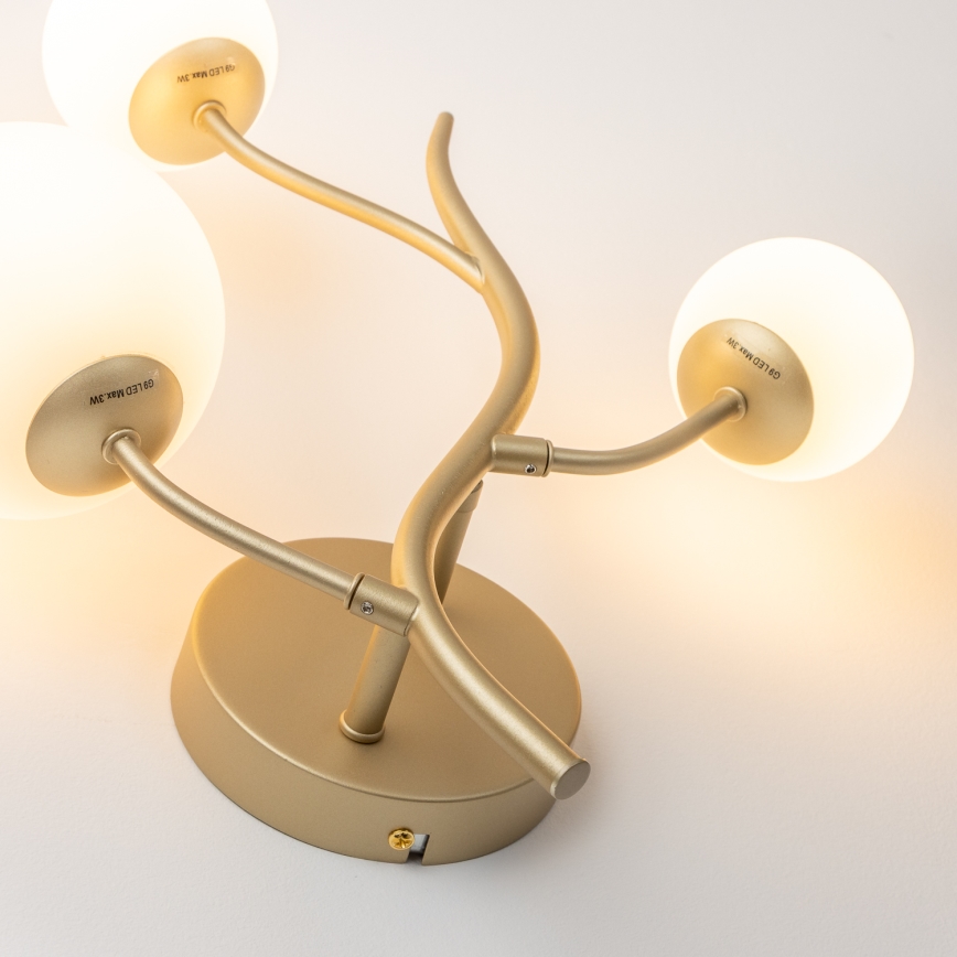 Brilagi - LED-Wandleuchte MISTEL 3xG9/3W/230V golden/weiß