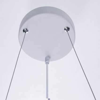 BRILAGI - Pendelleuchte an Seil SELE 6x GU10/30W/230V weiß