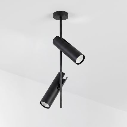 BRILAGI - Pendelleuchte mit Stange BRANCH 2xGU10/30W/230V schwarz